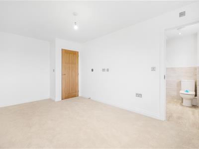 Picture 24